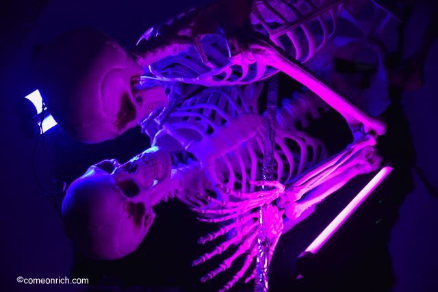 ミラーシートを使って撮影 反射 水中撮影